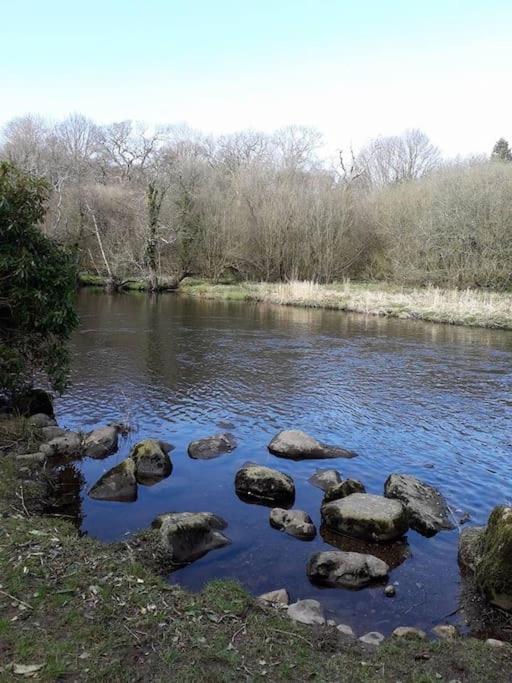 Stunning 3 Bed Riverside Cabin In Snowdonia Caeathro Exteriör bild