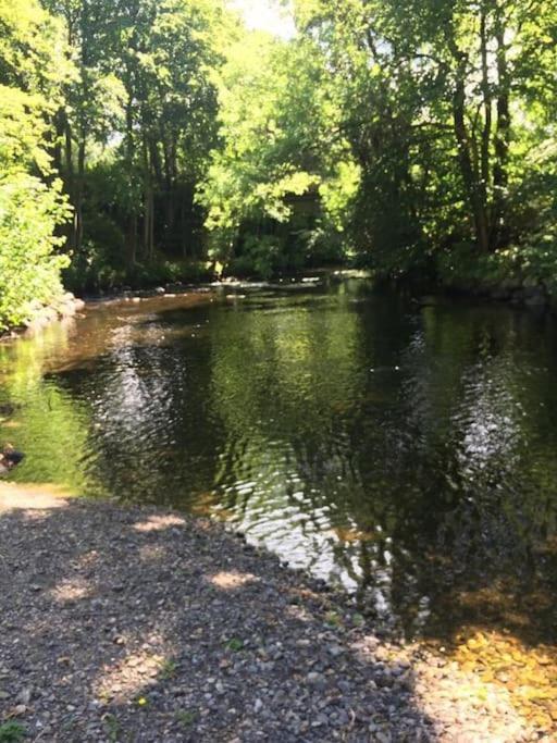Stunning 3 Bed Riverside Cabin In Snowdonia Caeathro Exteriör bild