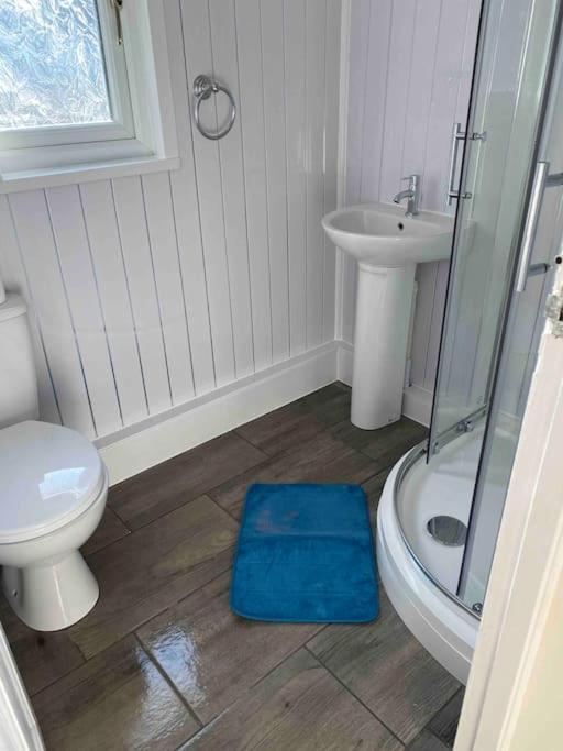 Stunning 3 Bed Riverside Cabin In Snowdonia Caeathro Exteriör bild