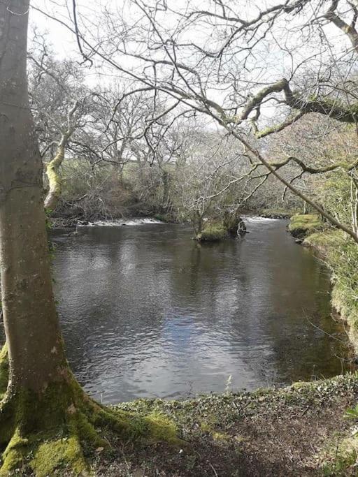 Stunning 3 Bed Riverside Cabin In Snowdonia Caeathro Exteriör bild