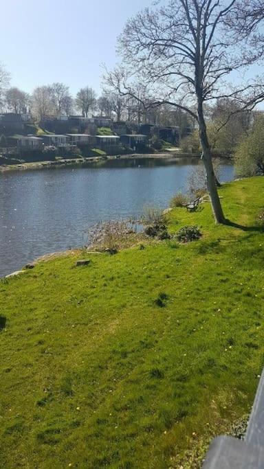 Stunning 3 Bed Riverside Cabin In Snowdonia Caeathro Exteriör bild
